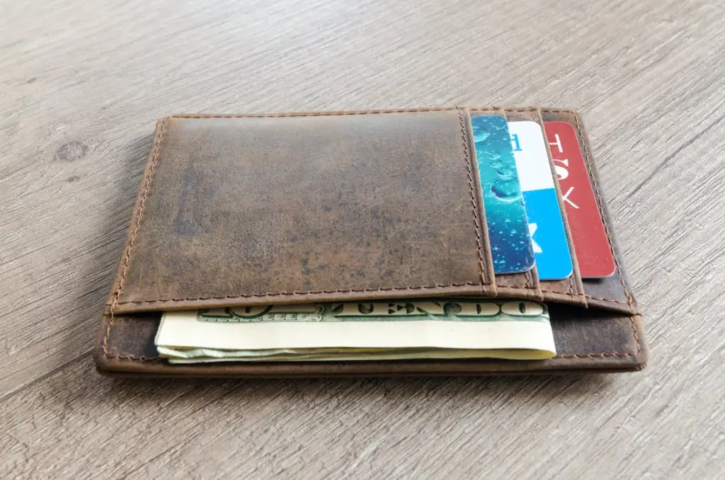 E-wallet with money and credit card
