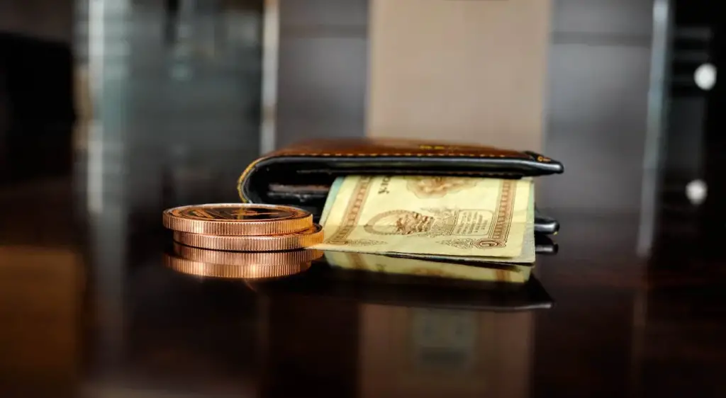 E-wallet with coin and notes