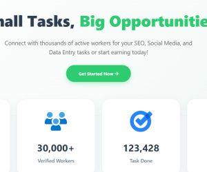 seoworker new microjob site